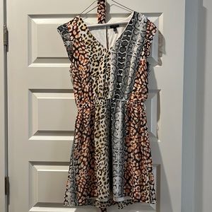 Express business casual animal print Dress